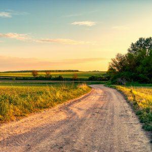 Capture the serene beauty of nature with a dirt road winding through vibrant countryside fields during sunset.
